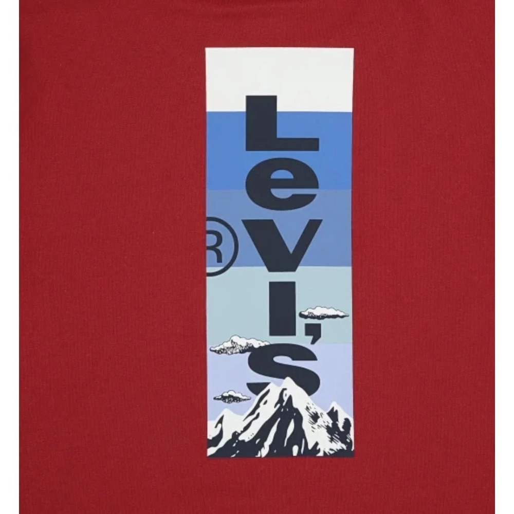 Levi's 2 Pack Graphics + Stripes Tees Youth XL 18/20 Short Sleeve Crew Neck - Picture 4 of 8